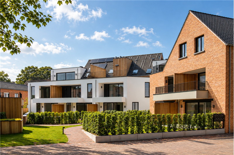 Jones Construct - Tsant - Zandhoven