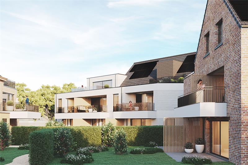Jones Construct - Tsant - Zandhoven (VERLAAGD BTW-TARIEF MOGELIJK!!)